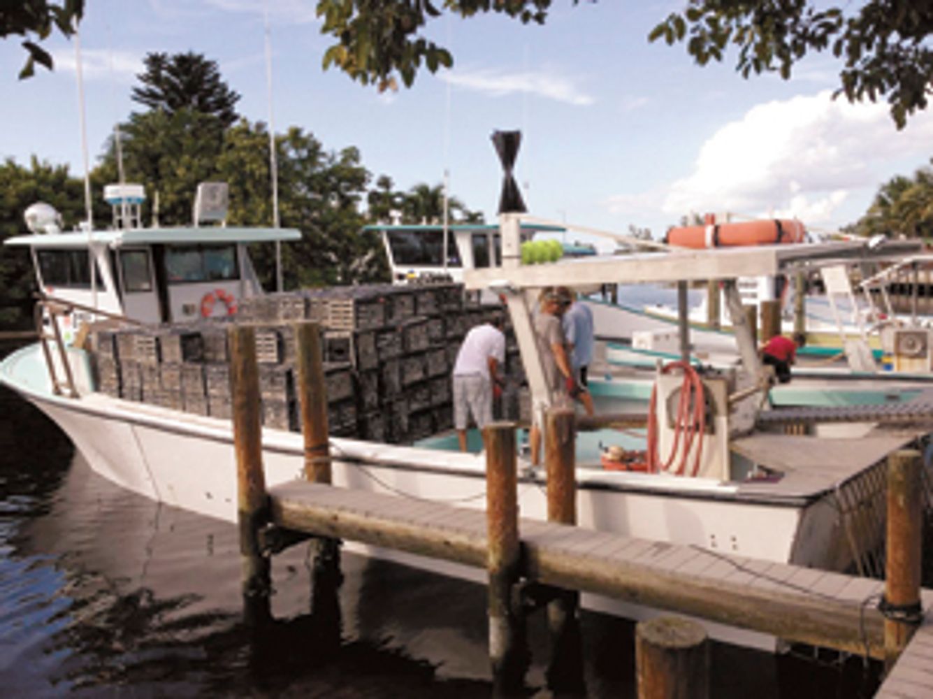 Fresh Seafood Market Matlacha Barnhill Seafood Market & More LLC