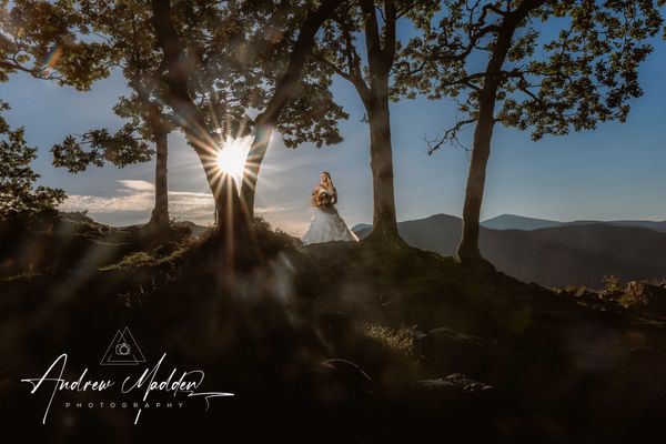 Summer Bride forest, Nottingham 