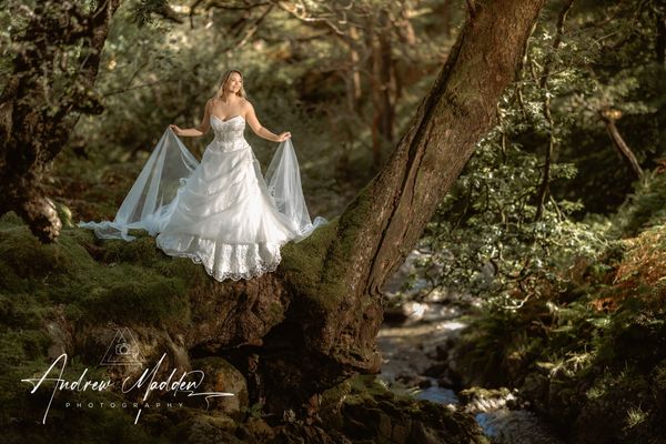 Happy Bride in sherwood forest, Nottingham 