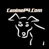 Canine P4 Logo