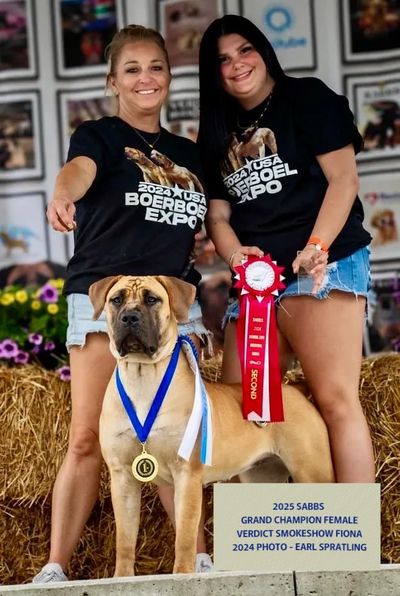 2025 SABBS Grand Champion Female, Verdict Smokeshow Fiona 
(2024 Photo) Photo Credit Earl Spratling
