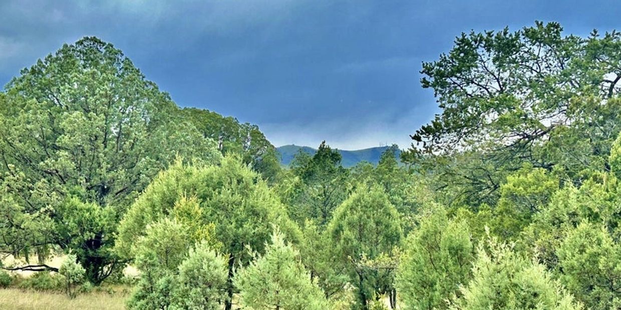 100 Legacy Southern New Mexico Realty