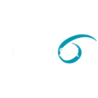 Season Six Media