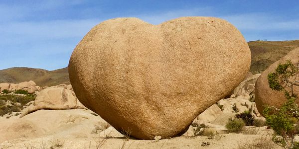 Giant heart shaped boulder at Joshua Tree National Park, White Tank Campground.  Photo by Kim Meyer.