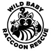 Wild Baby Raccoon Rescue