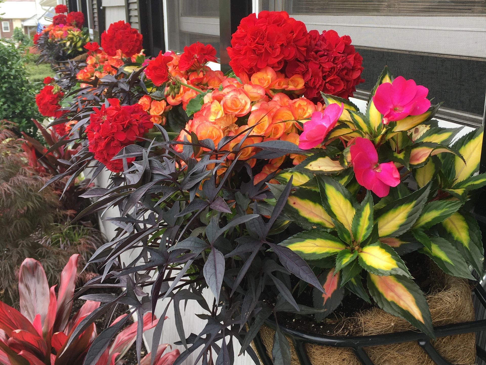 Hay rack, window boxes, flowers, geraniums, potato vine, begonias