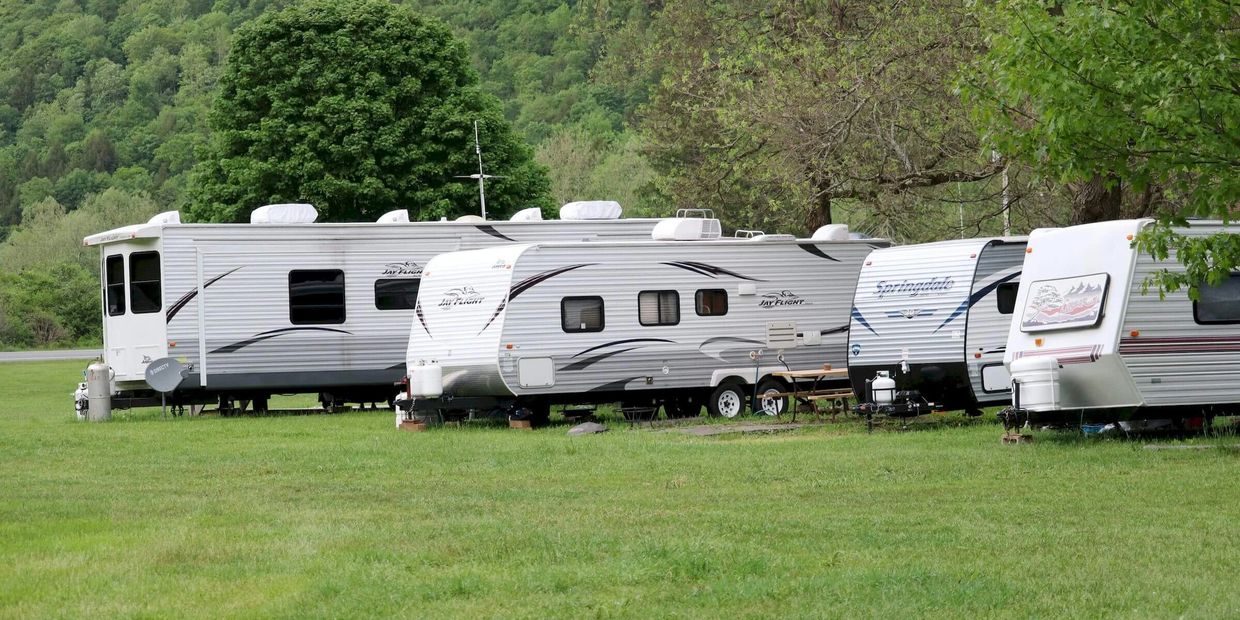 Several travel trailers parked on a grassy field with green trees in the background.
