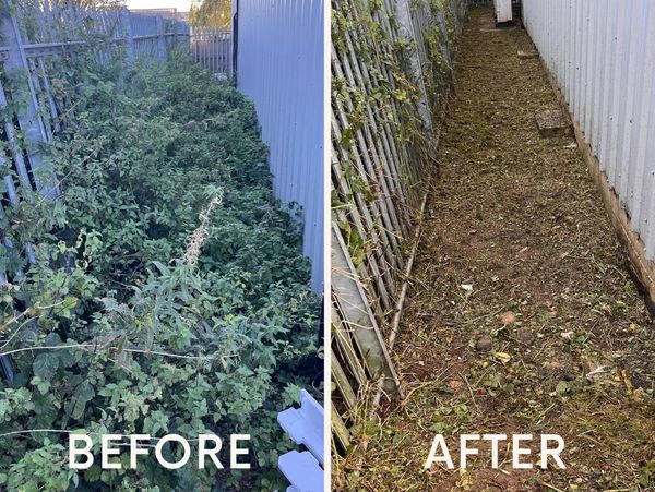 Before and after image of an overgrown pathway.