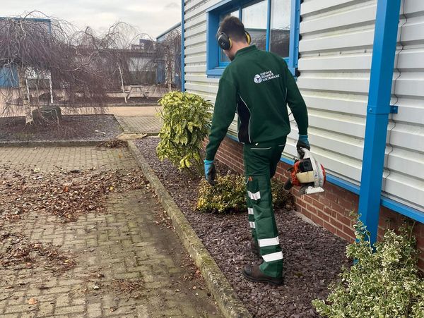 Gardener from Norfolk Grounds Maintenance clearing leaves from a commercial premises in Norfolk.