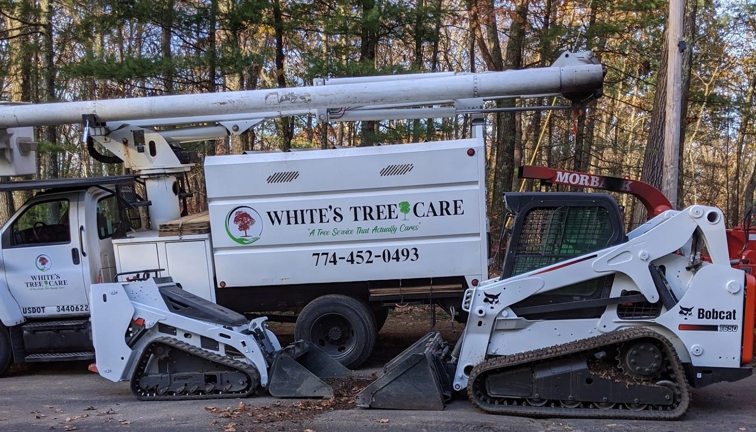 White's Tree Care LLC gallery 2