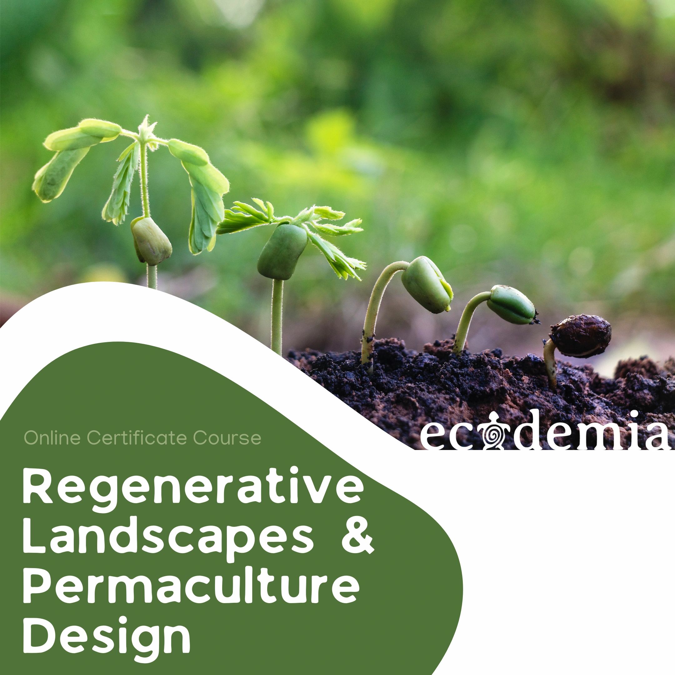 Regenerative Landscapes & Permaculture Design Certificate Course
