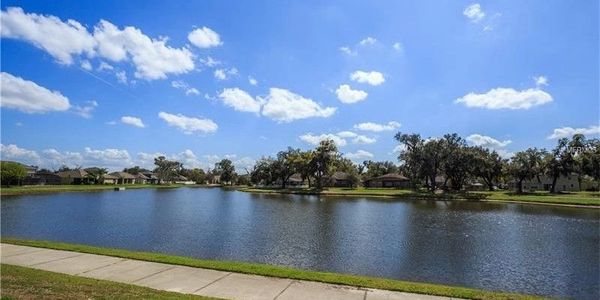 A pond with beautiful view