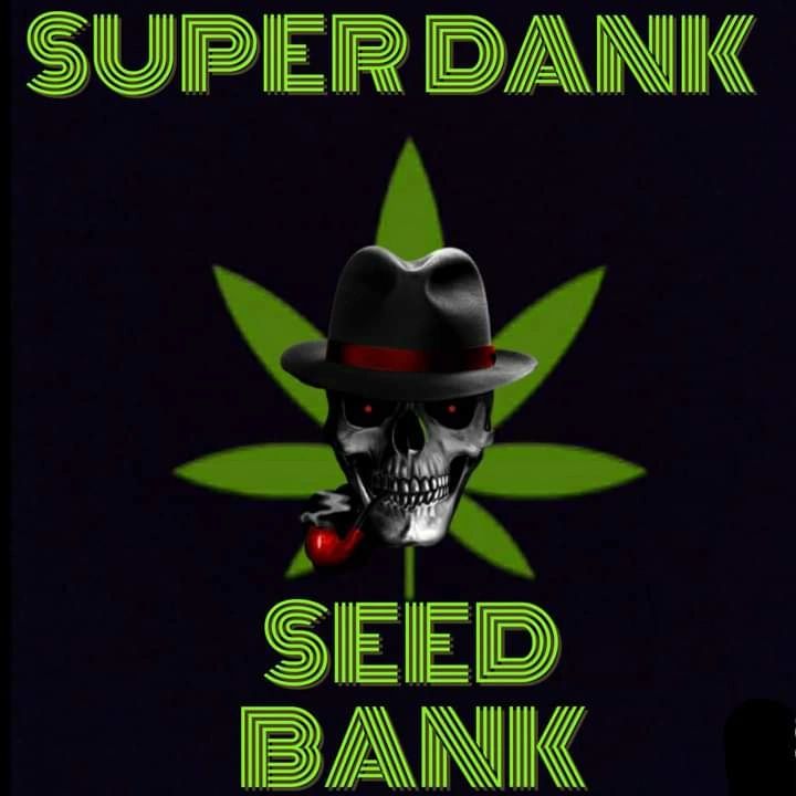 Kentucky Marijuana Growers: The Story of the Cornbread Mafia