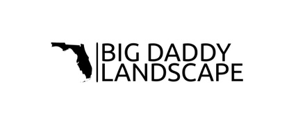 Big Daddy Landscape