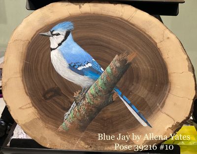 Blue jay painted on a wood slice.