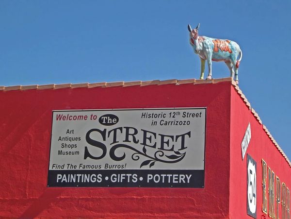 Burro on rooftop, photo/copyright by Sandra Wayne. Used by permission