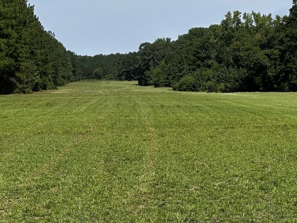 Open grassy field bordered by trees under a clear sky.