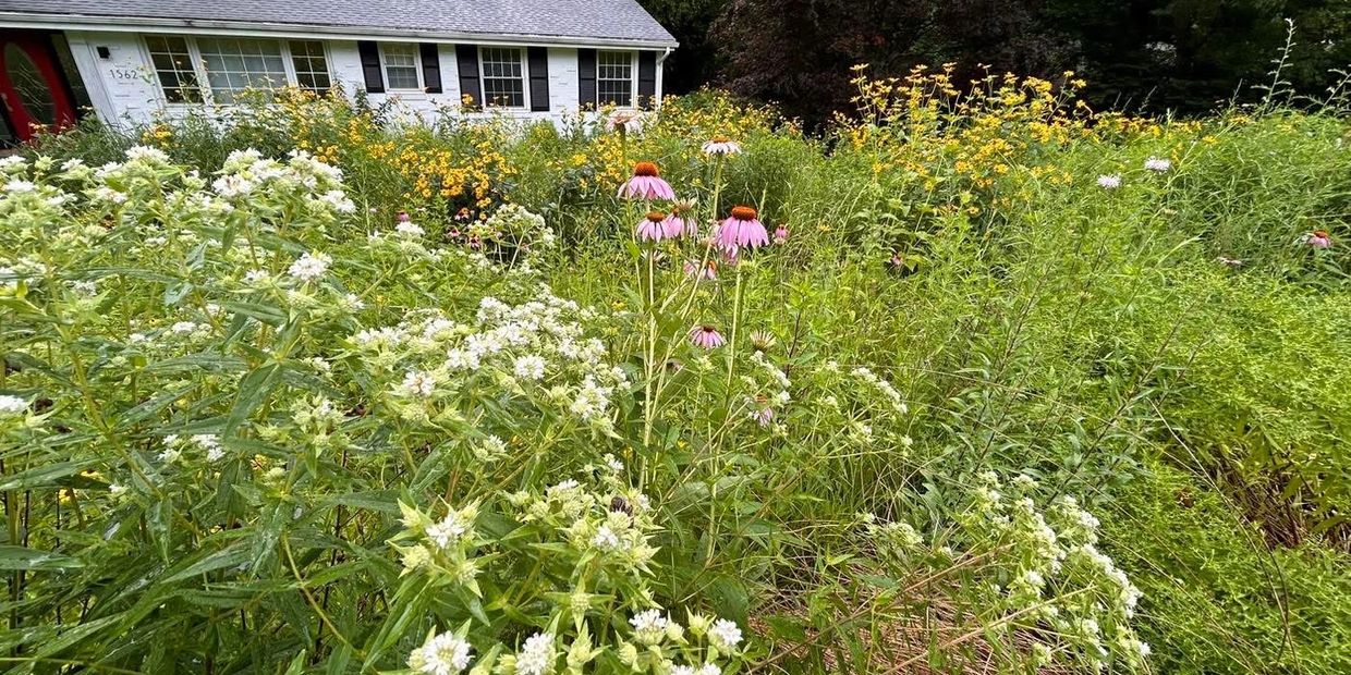 A vibrant garden with various blooming flowers in front of a white house.