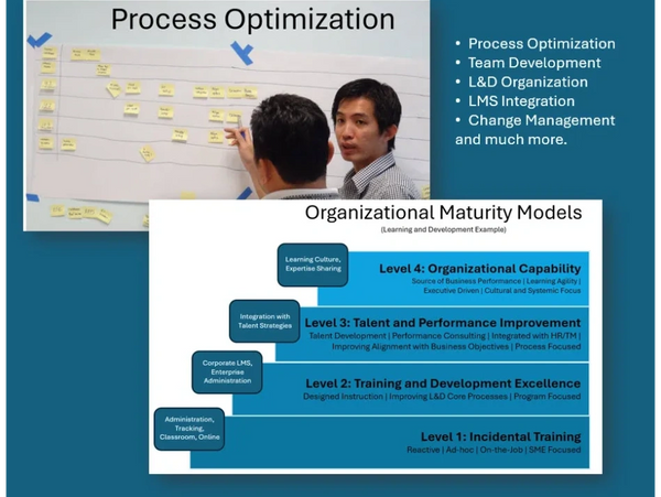 Process optimization; maturity model; organizational improvement