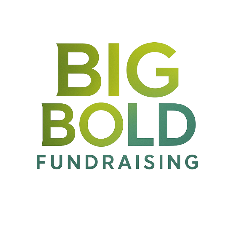 BIG BOLD FUNDRAISING logo