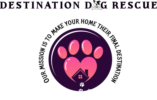 Destination Dog Rescue 