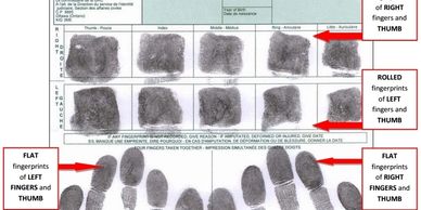 Fingerprint samples showing flat and rolled prints of left and right fingers and thumbs.