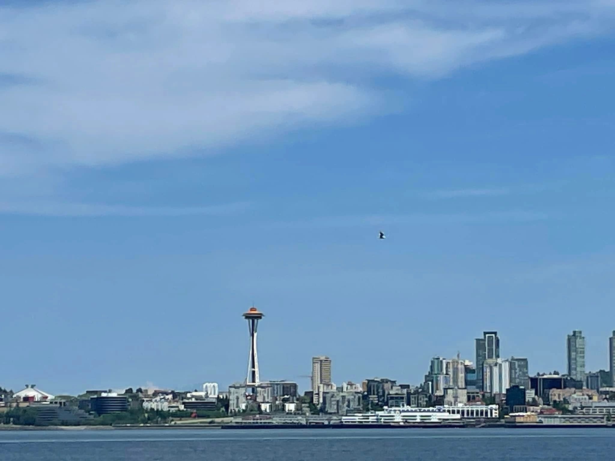 Snow Headings Issaquah, WA Real Estate Broker