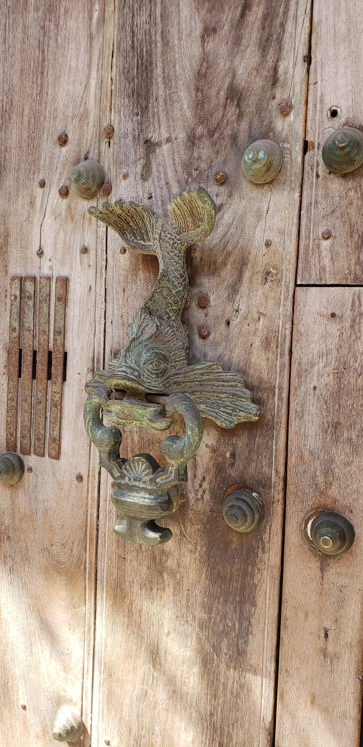 Door Curiosity