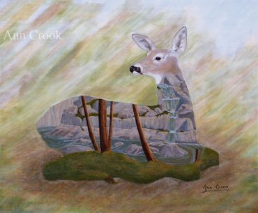 Deerwood	WxH (")	24x20		 $640 	
