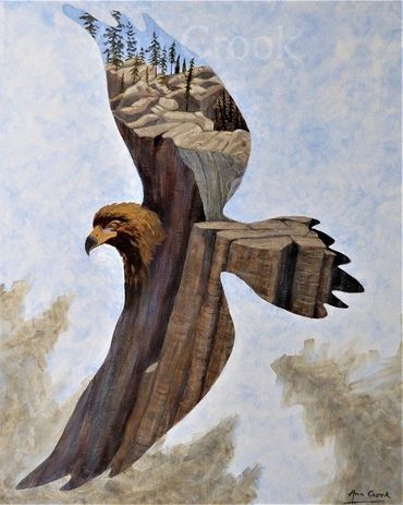 Eagle's Eye	WxH (")	20x24		 $640 	
