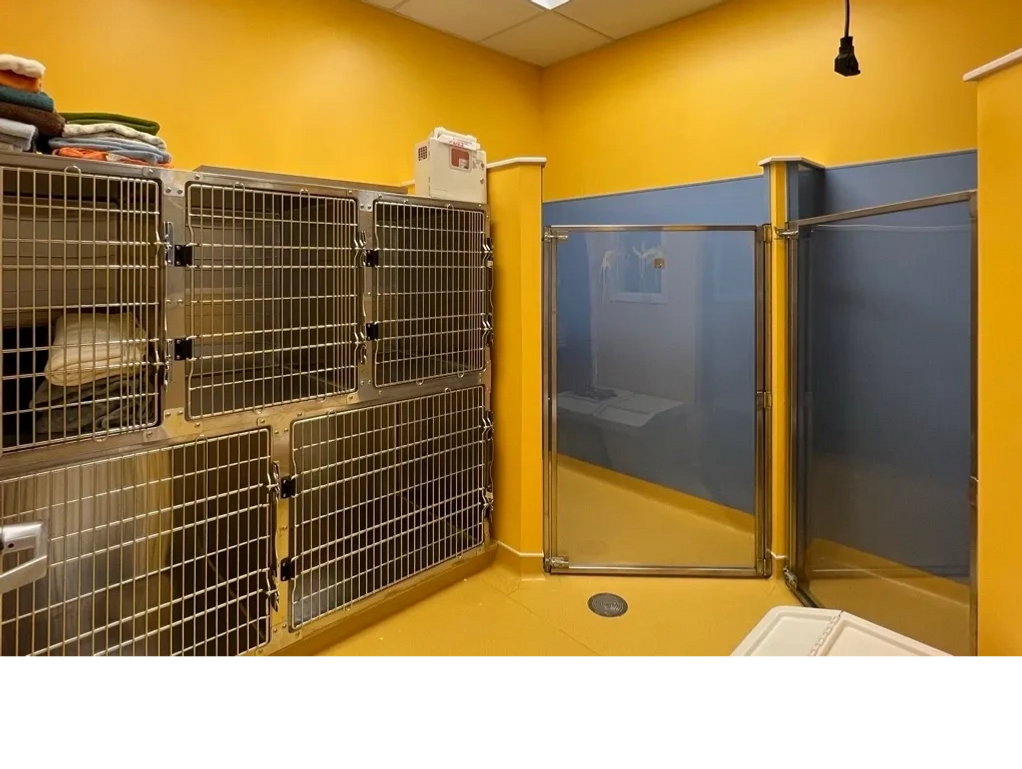 design a dog ward