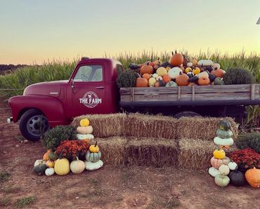 Pumpkins