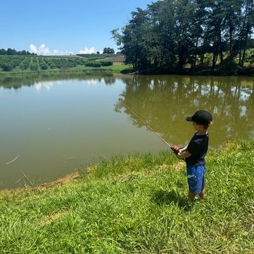 A child fishing by a calm pond on a sunny day.
