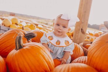 pumpkin patch