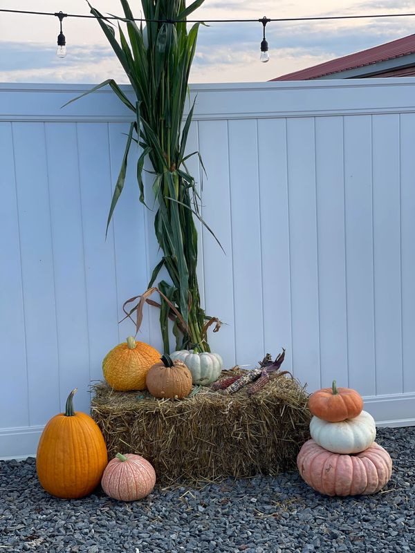 Fall Decor With Hay Bales, Pumpkins & Many More 