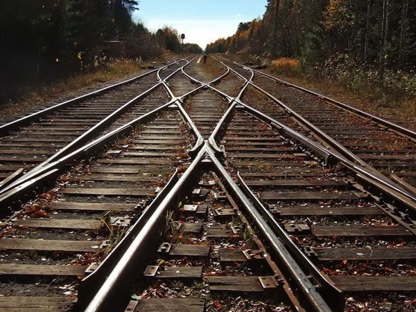 Vías de tren cruzándose en un bosque.