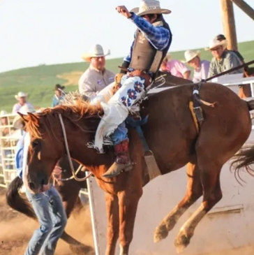 Watch Professional Rodeo Cowboys Association online