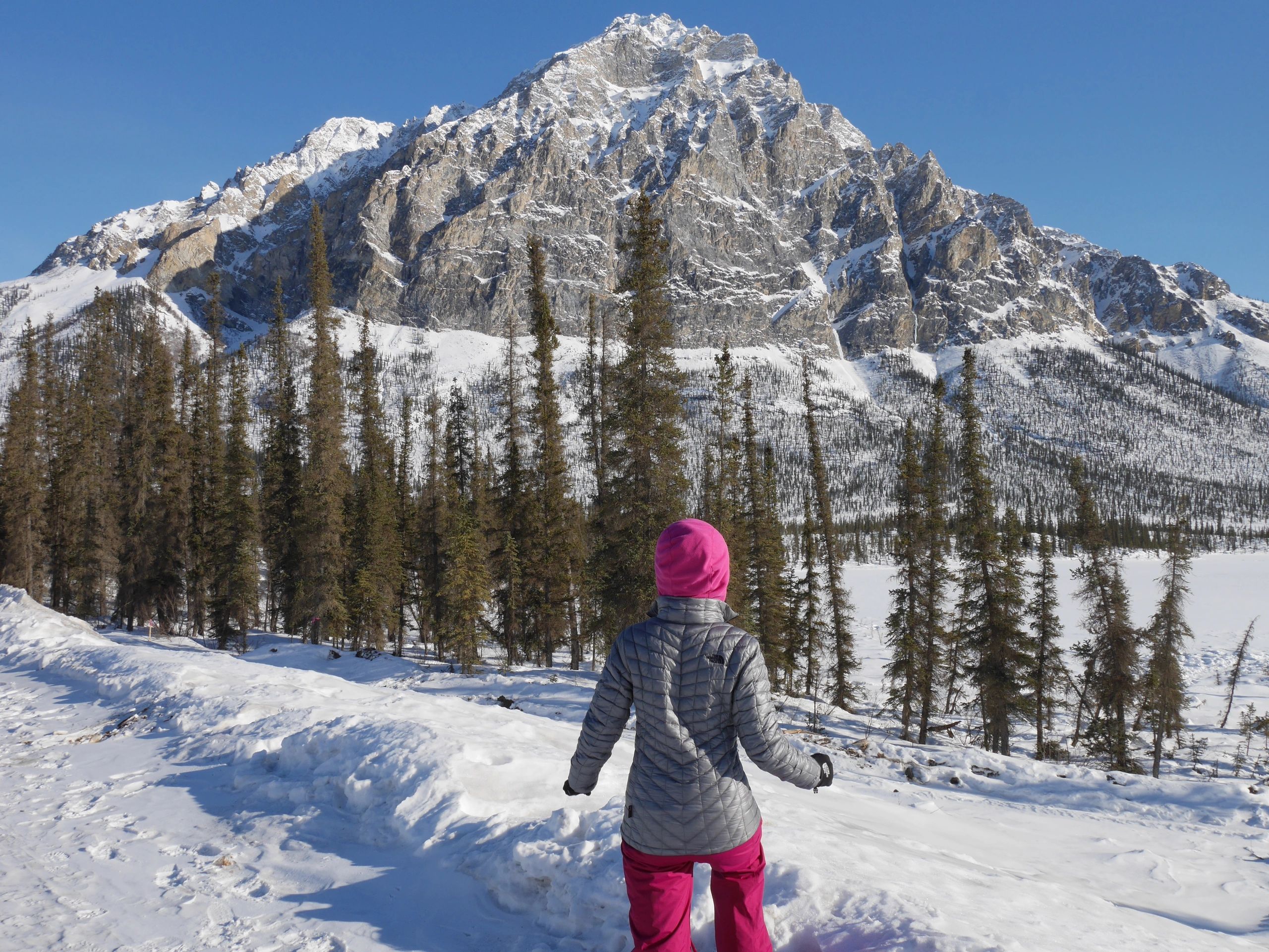 I was standing in front of the mountain in the Brooks Range, within the Arctic Circle in Alaska.