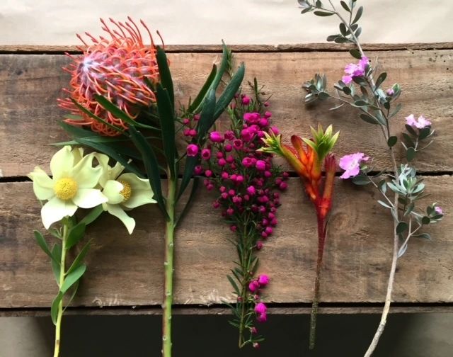 Birregurra Wildflowers — photo 4 of 5
