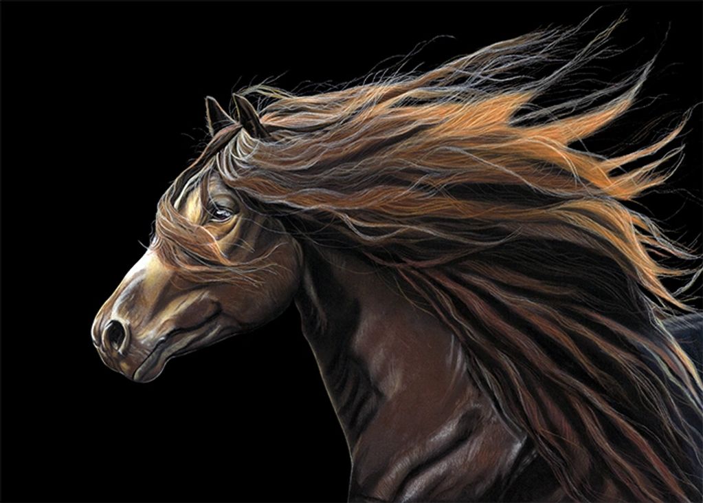 'Blaze' Limited Edition prints