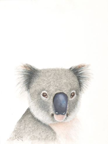 Watercolor art of a koala