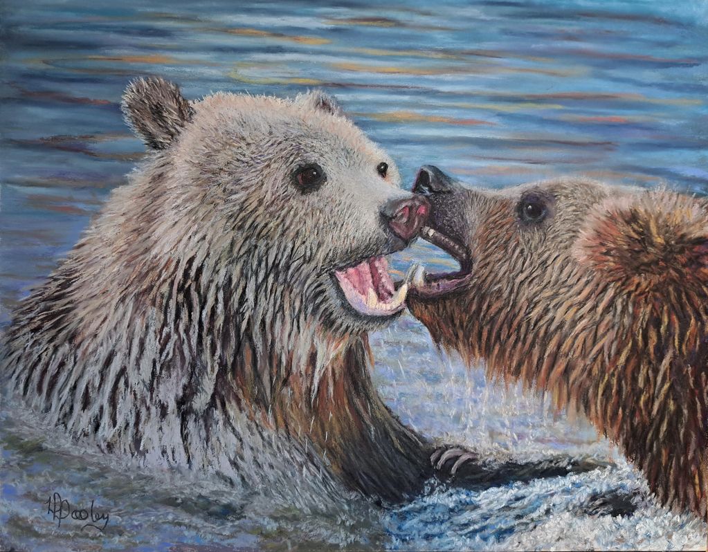 Bears, Grizzly Bears, Bears in water, Wildlife, Arizona