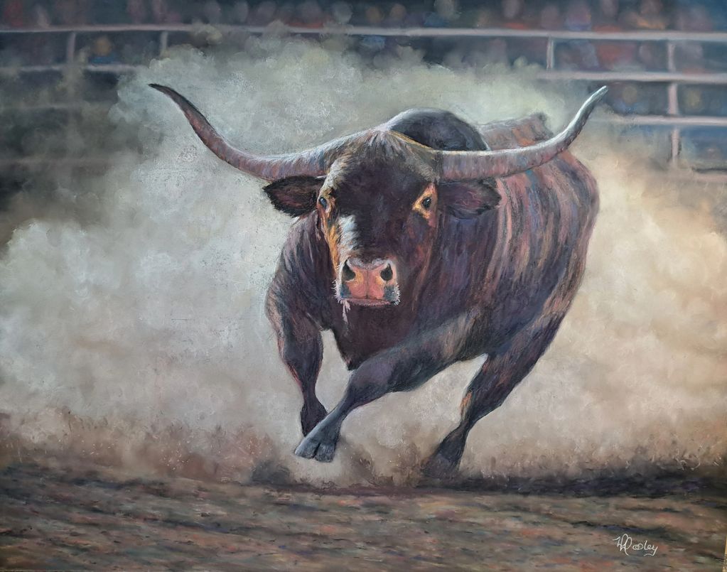 Bull, Rodeo, Cowboy, Western Art