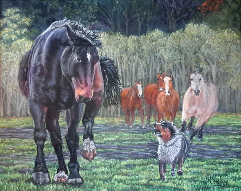 Horse, Working Dog, Dog, Horse and Dog