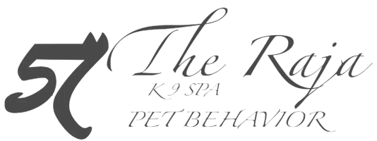 The Raja 
K9 SpA