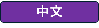 Purple button with white Chinese characters meaning 'Chinese'.