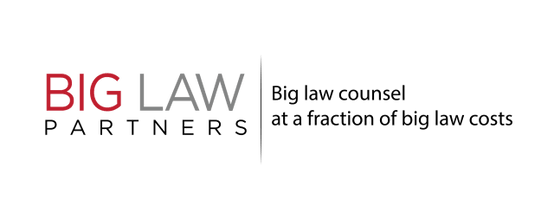 Big Law Partners