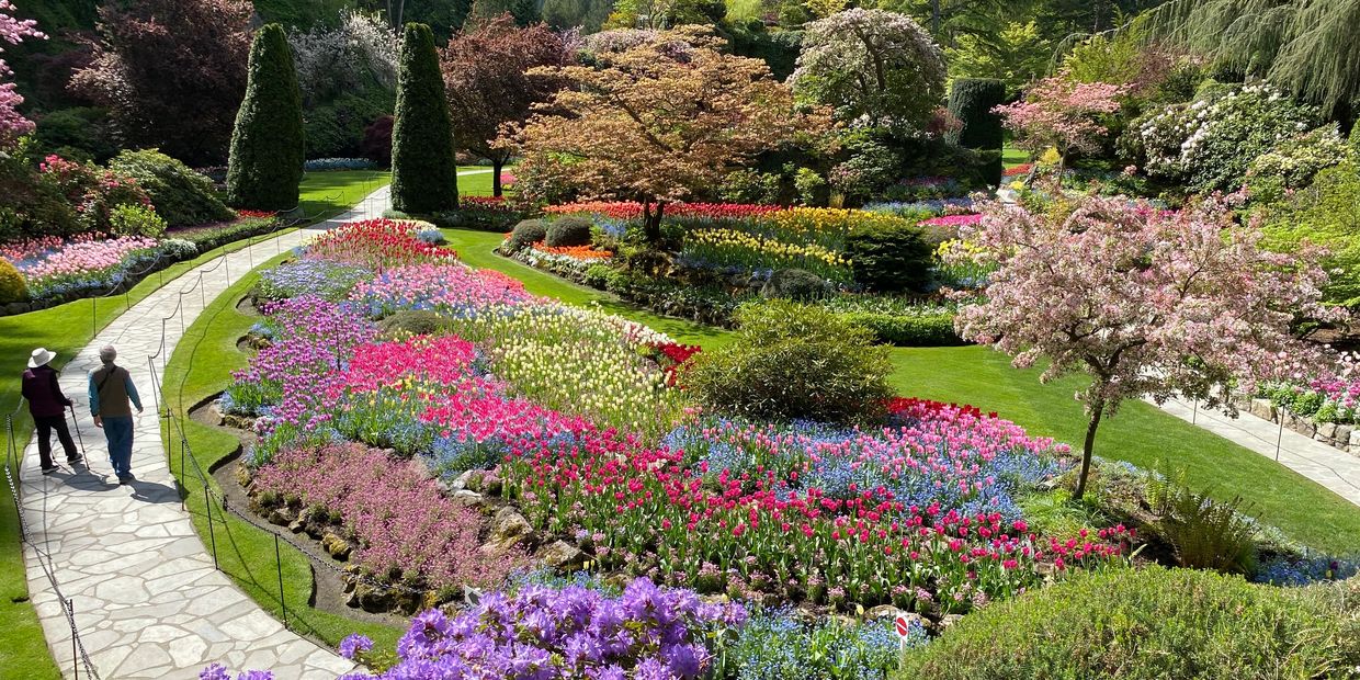 World floral display in a summer day - Butchart Gardens