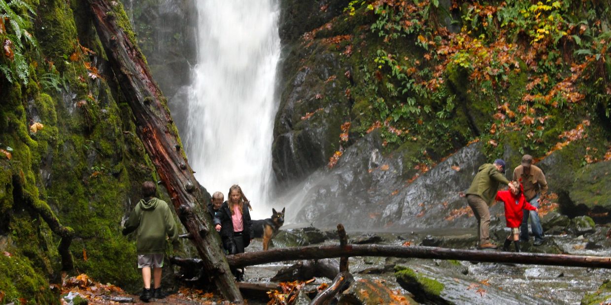 Kids, family and a dog looking into a waterfall