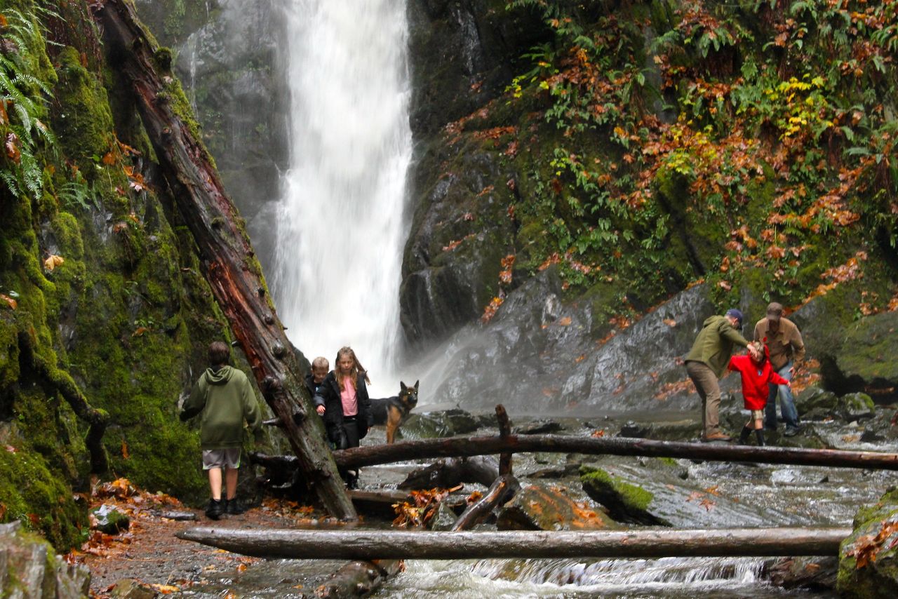 Explore the nature and forests